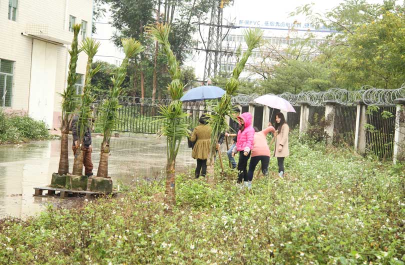 Arbor Day Arbor Day