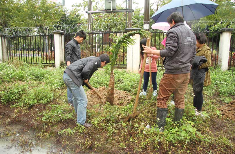 Arbor Day Arbor Day