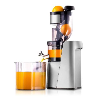 Juicer Auger 1