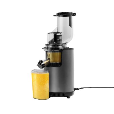 Juicer Auger 2